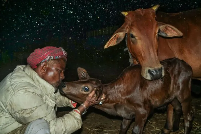 30 Unique Moments Captured By Md Enamul Kabir