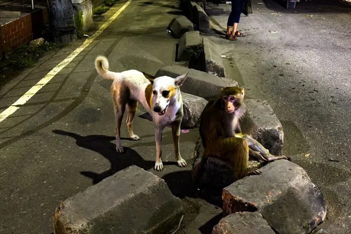 30 Unique Moments Captured By Md Enamul Kabir