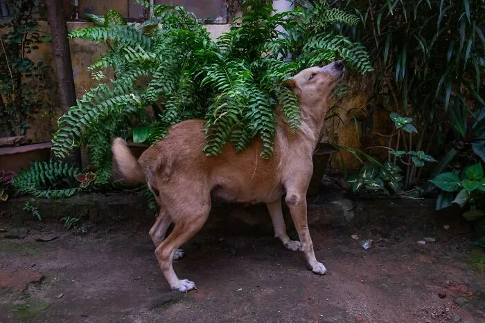 30 Unique Moments Captured By Md Enamul Kabir
