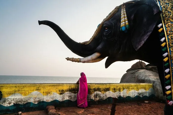 30 Unique Moments Captured By Md Enamul Kabir