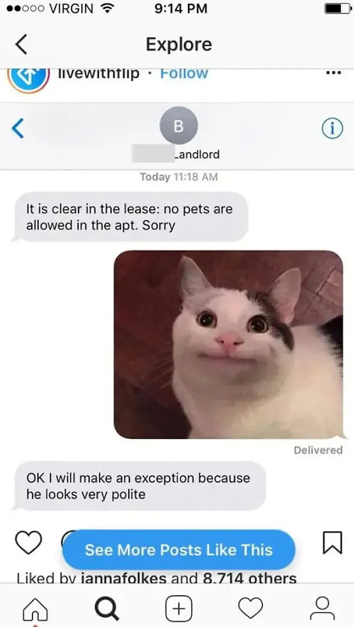I Found 40 Funny Answers People Received While Texting