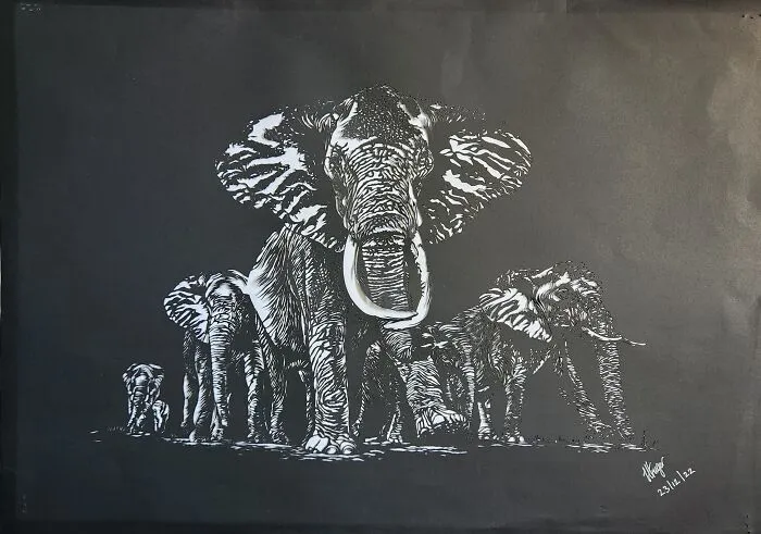 African Elephants