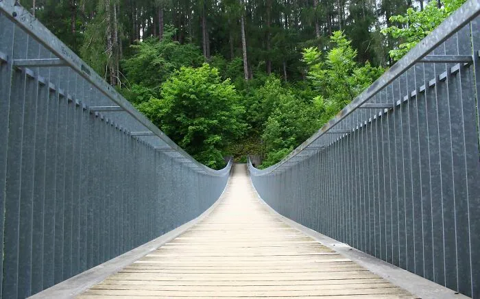 Let’s reframe the trolley problem. You’re on a bridge above the train tracks. On the bridge, there is a large animal. You see that the train is about to hit a person. Imagine that you’d be able to throw that animal off the bridge, to stop the train. Would you do it?
