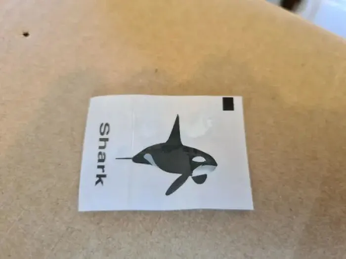 Mommy, It's A Shark!