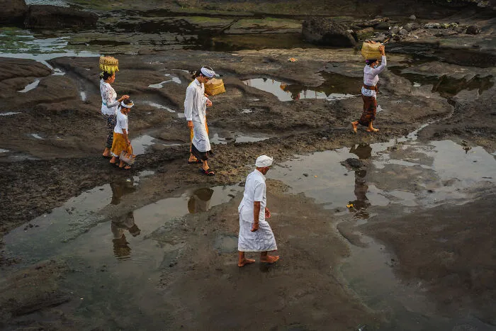 The Balinese Walk Proudly To The Tanah Lot Water Temple To Do Their Rituals. This Unique Temple Is Only Accessible When The Water Is Eb