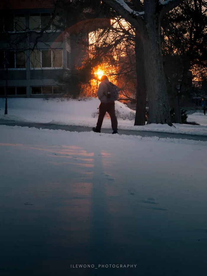 I Got A New Lens, And Here Are Some Test Photos I Took (6 Pics)