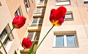 Hungary’s Panel Buildings In 37 Frames