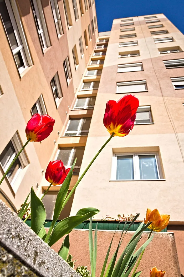 Hungary’s Panel Buildings In 37 Frames