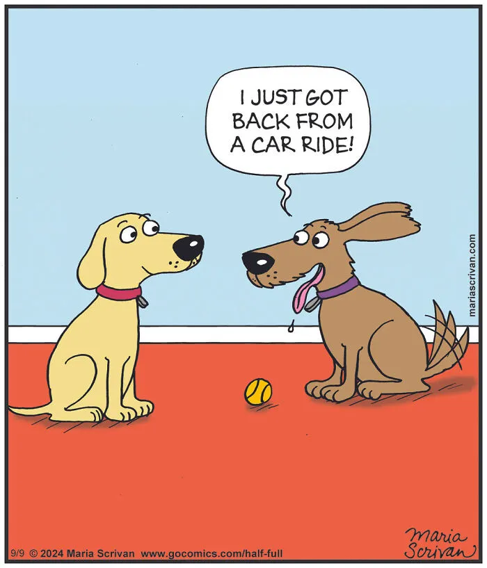 23 Hilarious Comics Featuring Funny Characters And Absurd Situations By This Artist (New Pics)