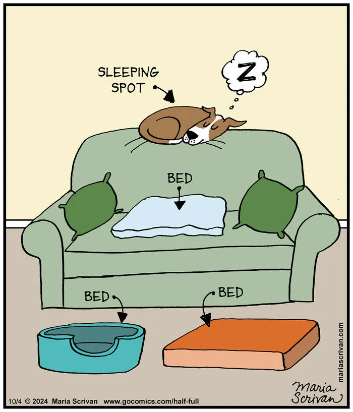 23 Hilarious Comics Featuring Funny Characters And Absurd Situations By This Artist (New Pics)