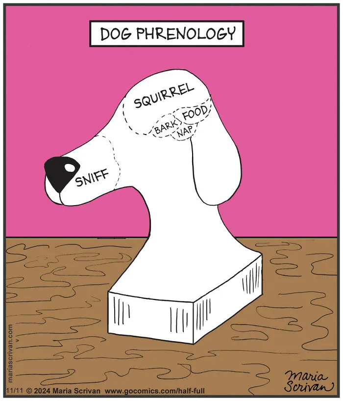 23 Hilarious Comics Featuring Funny Characters And Absurd Situations By This Artist (New Pics)