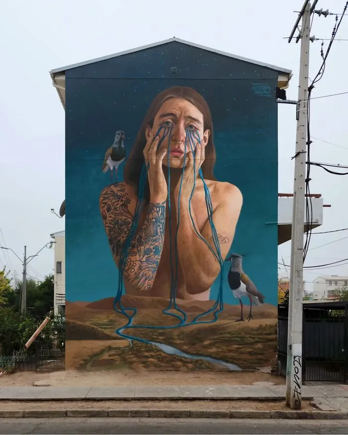 This Muralist From Chile Turns City Walls Into Masterpieces (20 Pics)