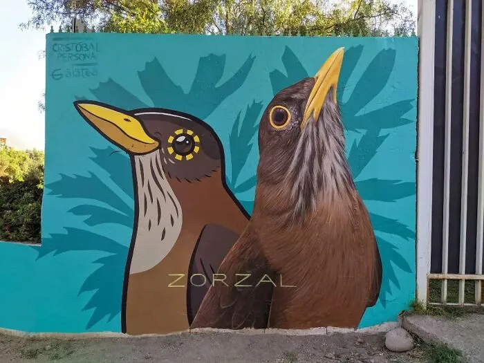 This Muralist From Chile Turns City Walls Into Masterpieces (20 Pics)