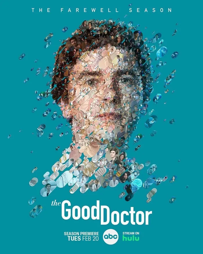 "The Good Doctor" TV Series (2017–2024)