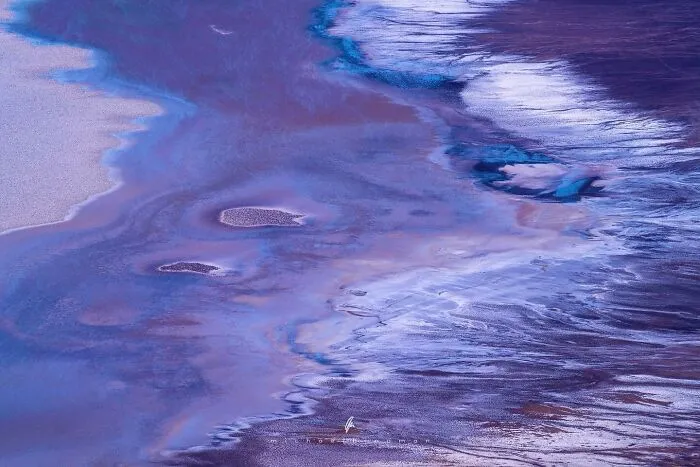 55 Breathtaking Photos Showcasing Nature’s Patterns And Textures By Michael Hindman