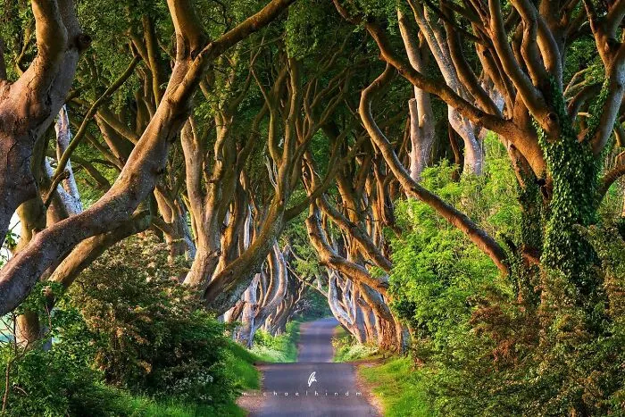 55 Breathtaking Photos Showcasing Nature’s Patterns And Textures By Michael Hindman