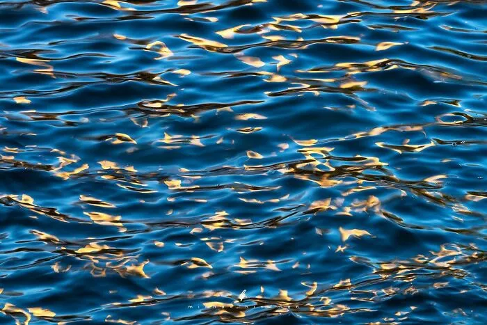 55 Breathtaking Photos Showcasing Nature’s Patterns And Textures By Michael Hindman