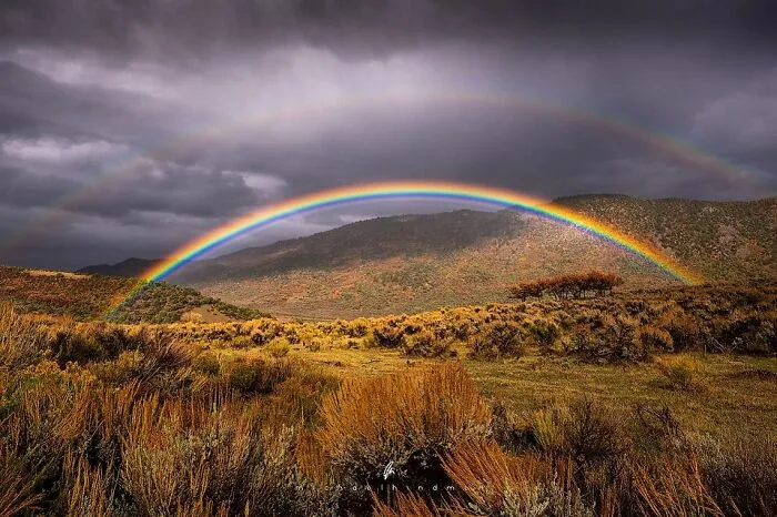 55 Breathtaking Photos Showcasing Nature’s Patterns And Textures By Michael Hindman