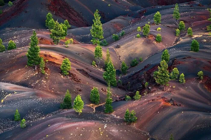 55 Breathtaking Photos Showcasing Nature’s Patterns And Textures By Michael Hindman