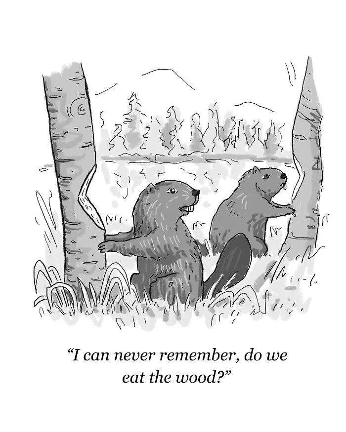 40 Quirky One-Panel Comics By Will Kiley Santino (New Pics)
