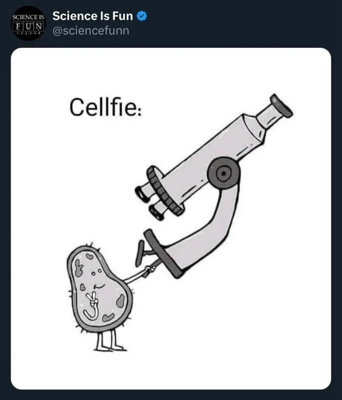 19 Science Memes To Make You Laugh