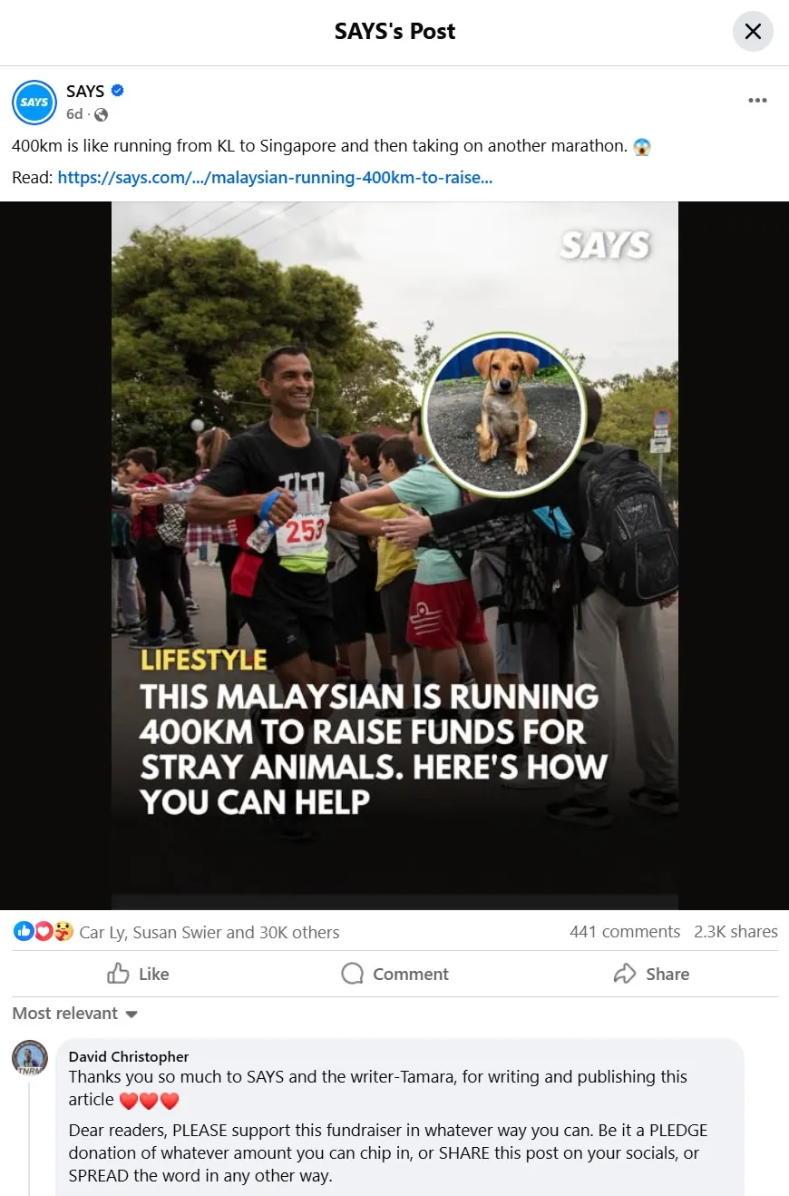 Malaysian Is Running 250 Miles To Raise Funds For Stray Animals. The Fundraiser Is Going Viral—can You Help Spread It Further?