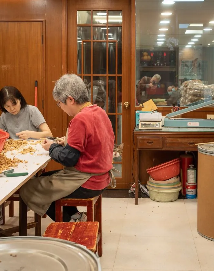 From Hong Kong To Istanbul: 45 Cats Adapted To City Life, Captured By This Photographer (New Pics)