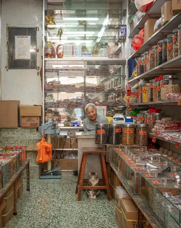 From Hong Kong To Istanbul: 45 Cats Adapted To City Life, Captured By This Photographer (New Pics)
