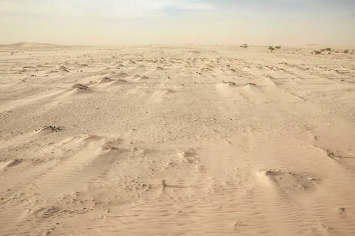Sahara Desert As Seen From The Carriage Of The Mauritanian Iron Ore Train
