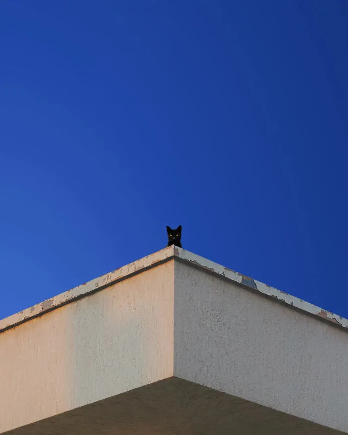 40 Meditative Photo Art Pieces Made By Benjamin Wolf