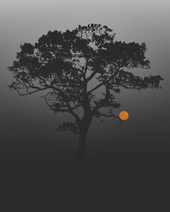 40 Meditative Photo Art Pieces Made By Benjamin Wolf