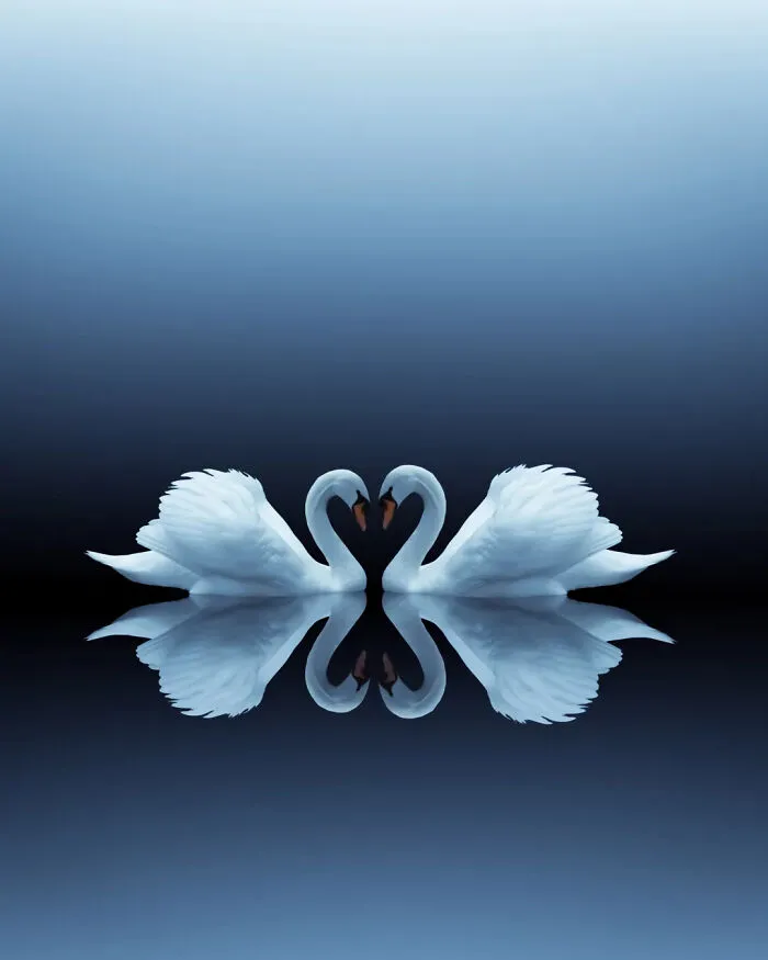 40 Meditative Photo Art Pieces Made By Benjamin Wolf