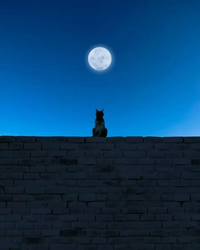 40 Meditative Photo Art Pieces Made By Benjamin Wolf