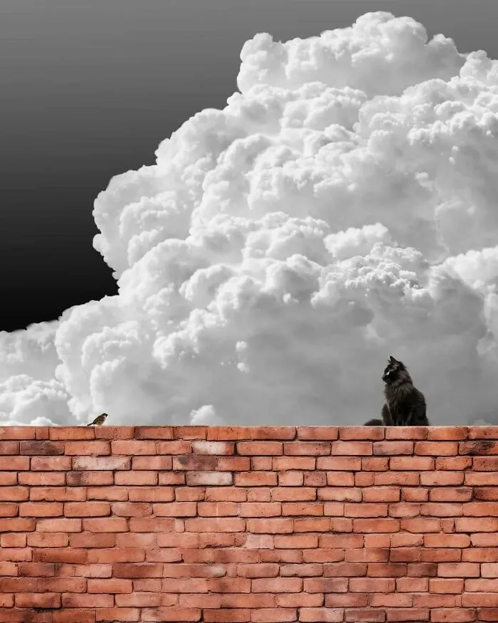 40 Meditative Photo Art Pieces Made By Benjamin Wolf