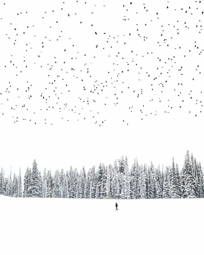 40 Meditative Photo Art Pieces Made By Benjamin Wolf