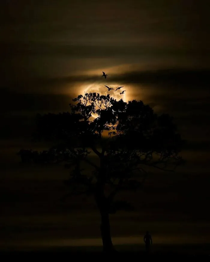 40 Meditative Photo Art Pieces Made By Benjamin Wolf