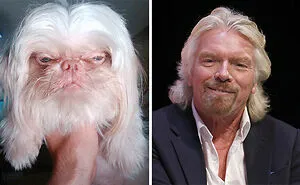 I Found Dogs That Look Incredibly Similar To Some Celebrities (9 Pics)