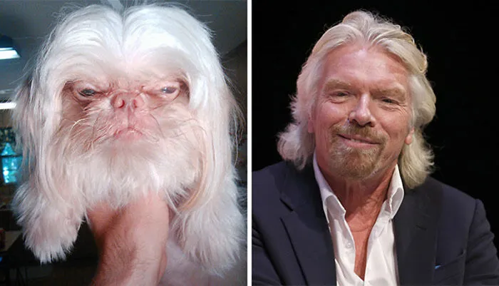 Richard Branson And Grump