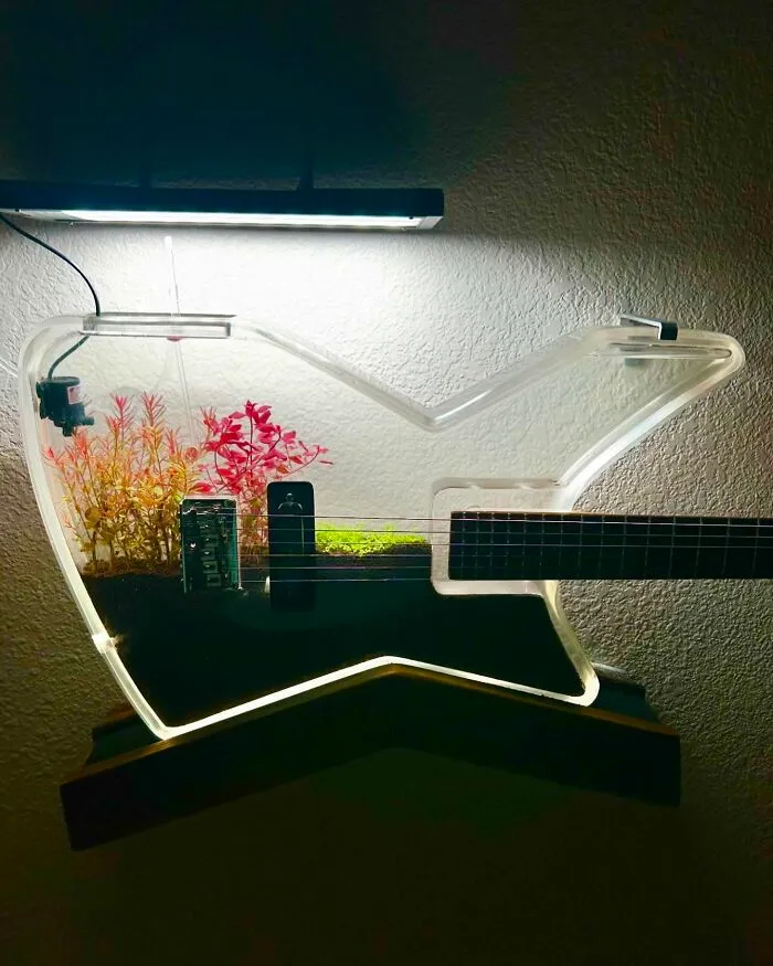 Burls Art Crafted 28 Extraordinary Guitars Using Unconventional Materials