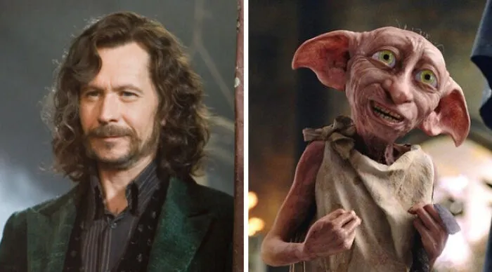 If You Could Only Save One Of Them, Would You Rather Save Sirius Black Or Dobby In The Harry Potter Universe?