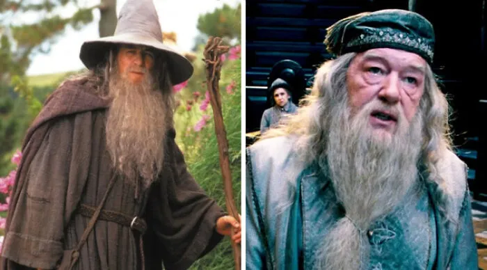 Whose Apprentice Would You Rather Be - Gandalf’s Or Dumbledore’s?