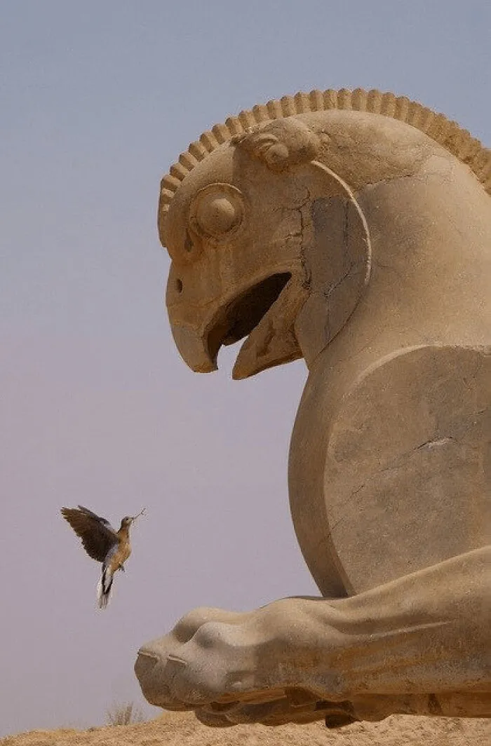 A Bird Looking At Statue Of Griffin (Persepolis)