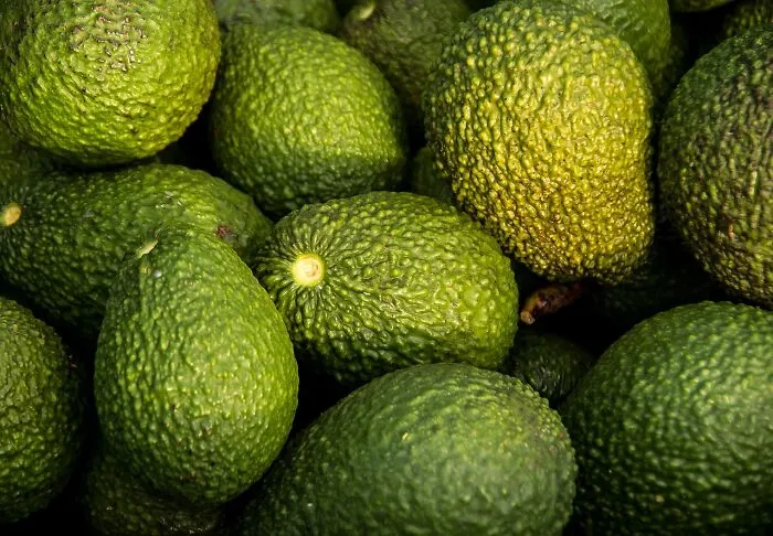 Avocados Don’t Taste That Good