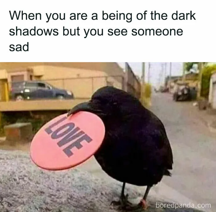 40 Hilariously Relatable Memes That Even Freud Would Appreciate (New Pics)