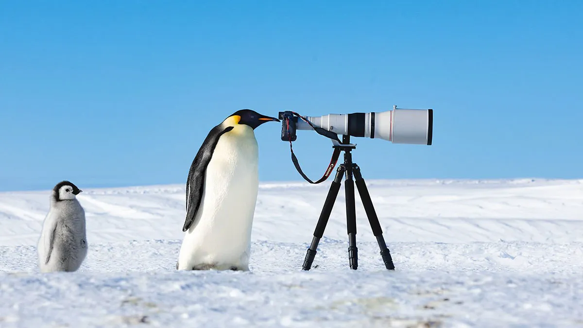 30 Best Avian Photos, As Presented By The Bird Photographer Of The Year 2024 Awards
