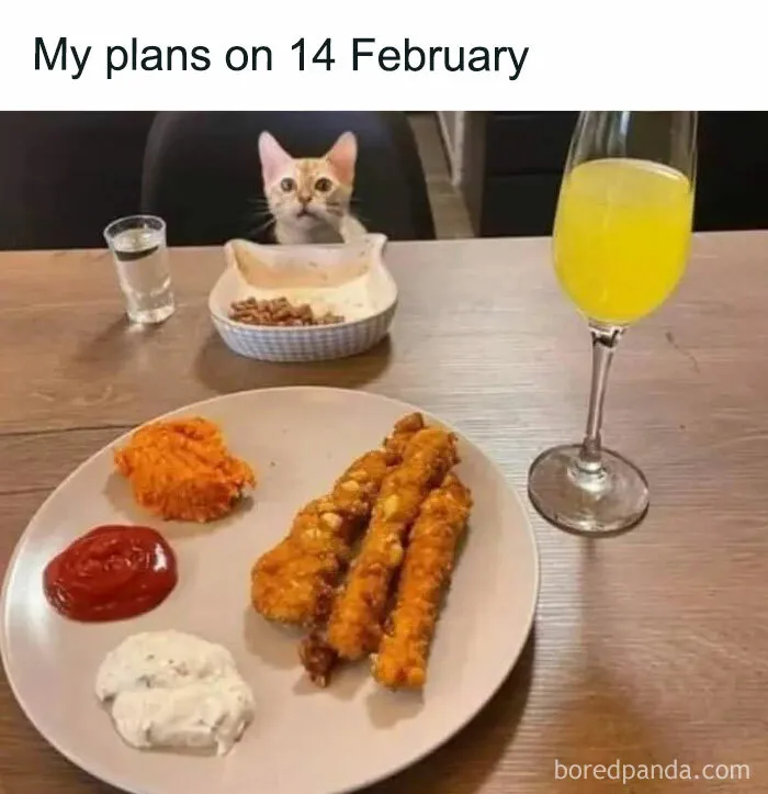 50 Times Cats Proved They’re The Funniest And Most Memeable Creatures Ever