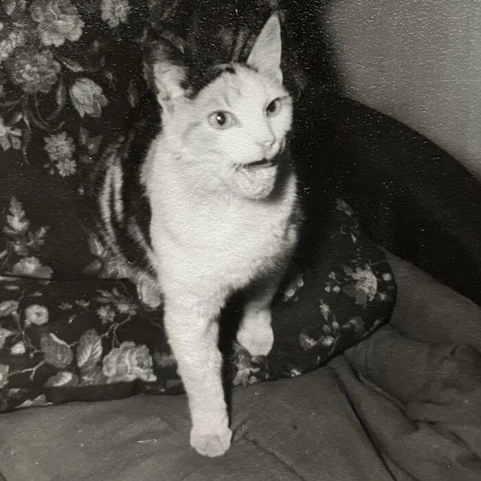 Beautiful Lady! Photo From Collection, No Date