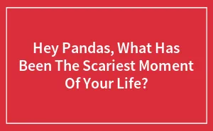 Hey Pandas, What Has Been The Scariest Moment Of Your Life? (Closed)