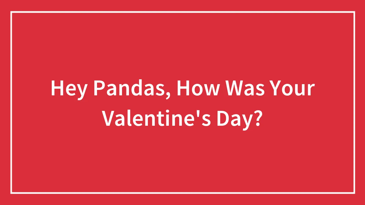 Hey Pandas, How Was Your Valentine's Day?