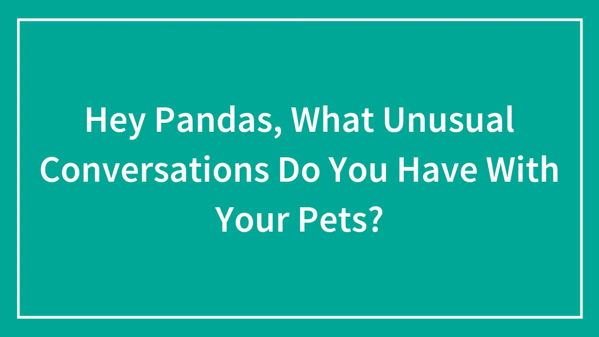 Hey Pandas, What Unusual Conversations Do You Have With Your Pets?